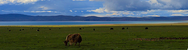 Tibet Travel Pictures